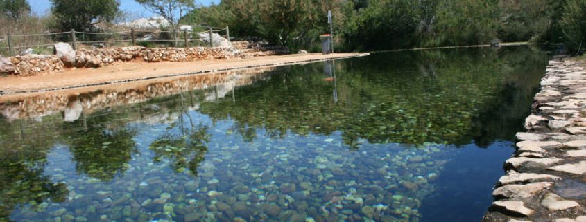 Next Big Thing Just imagine taking a cooling dip in this crystal clear water